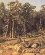 A Pine Forest Mast-Timber forest in Viatka Province, Ivan Shishkin